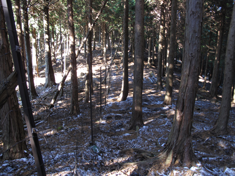 20161216hike (152)